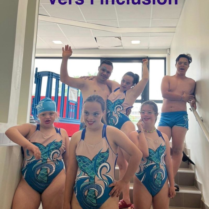 UN PLONGEN VERS L’INCLUSIONS